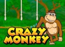 Crazy Monkey